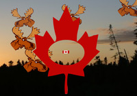 Jeu-de-tir-avec-des-cerfs-canadiens