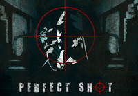Perfect-shot-sniper